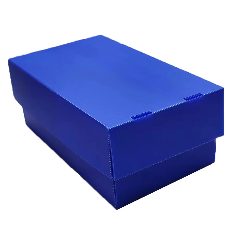 polypropylene pp polypropylene box competitive price storage container plastic box