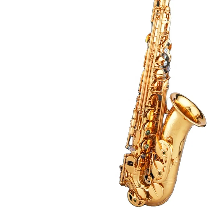 Beautiful design hot sale alto saxophone from China