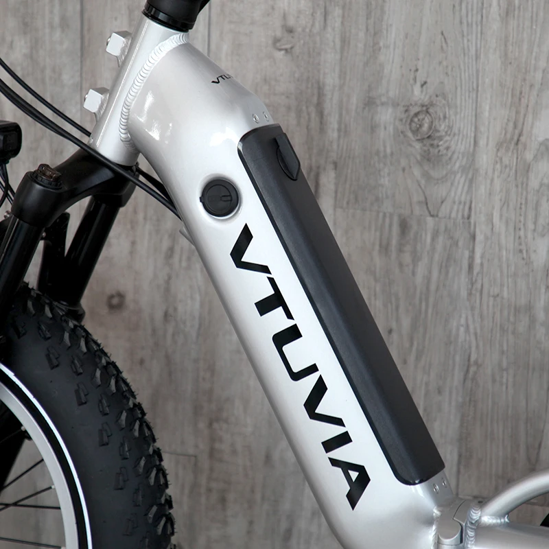 USA EU Canada Warehouse Stock 250W 750w 36V 48v 15ah Lithium Battery Fat Tire Folding Electric City Cargon Bike Bicycle Ebike