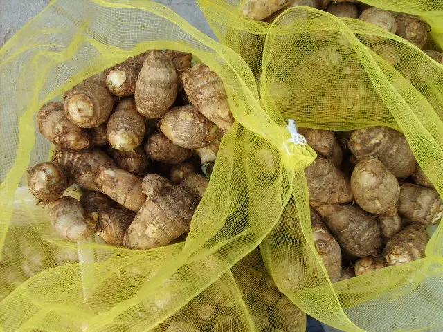 Оптовая продажа экспорт свежих корней Таро нового урожая свежего по