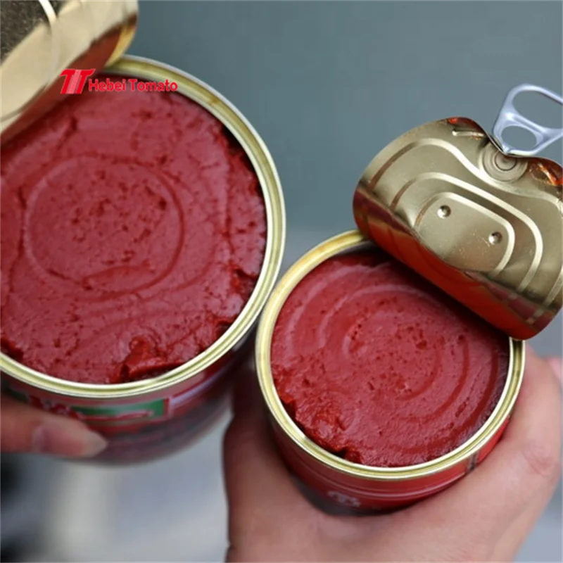 Easy Open Canned Tomato Paste From China Manufacturer OEM Brand Grow Your Own Brand Canned Tomato Paste