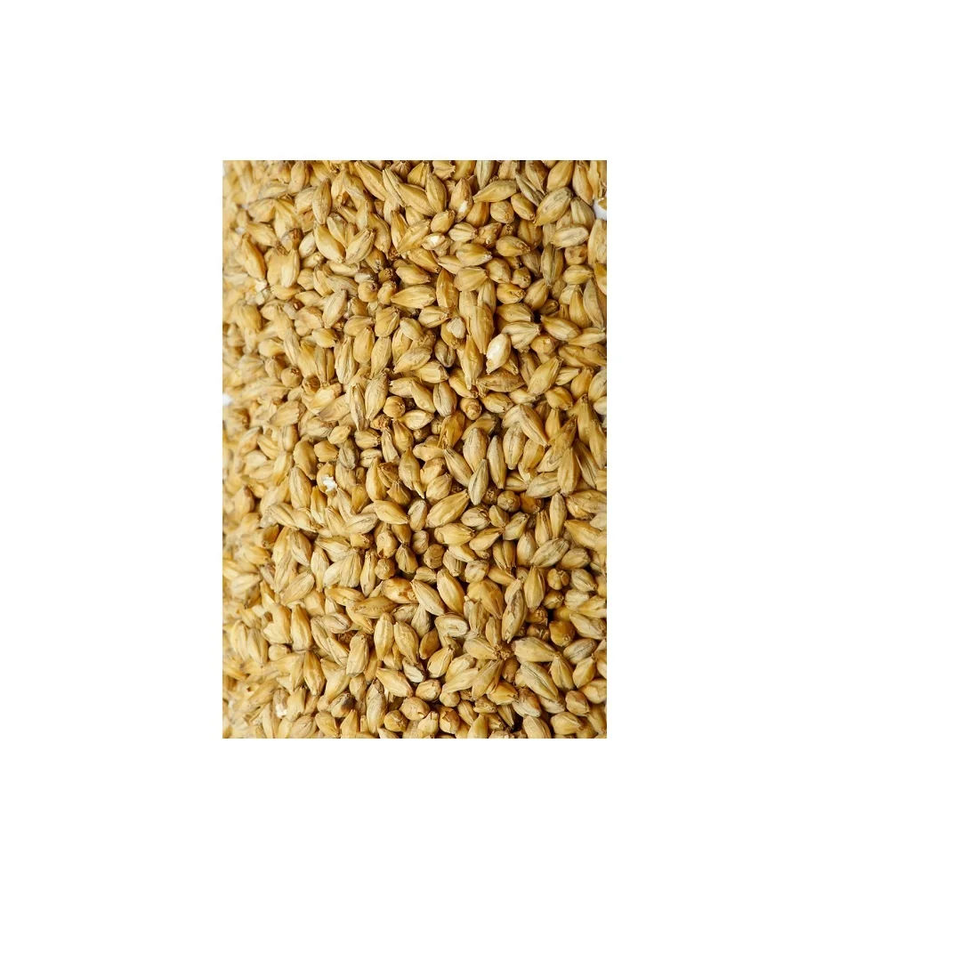 
Organic Pearl Barley 