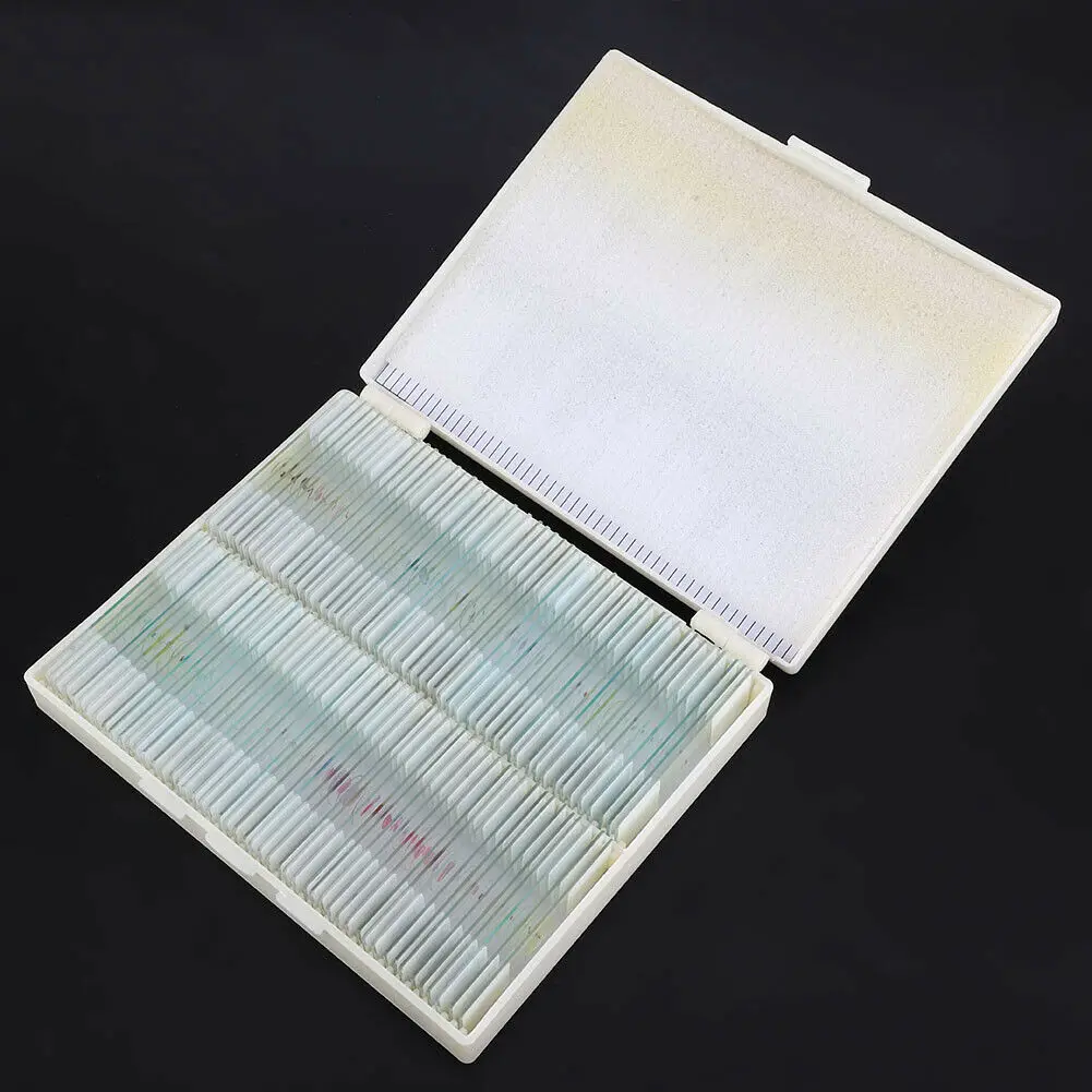 Histology Prepared Slides Microscope Slide