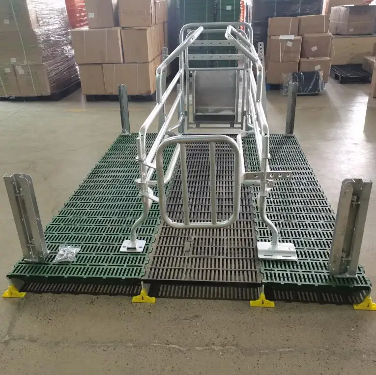 Pig Equipment Pig Farrowing Crates Sow Farrowing Pen