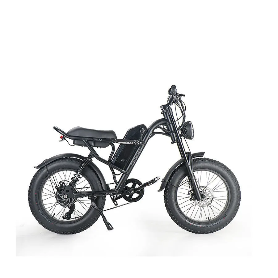 US Eu Stock eu warehouse fat bike 48v fat wheel e bike electric fat bike 2023