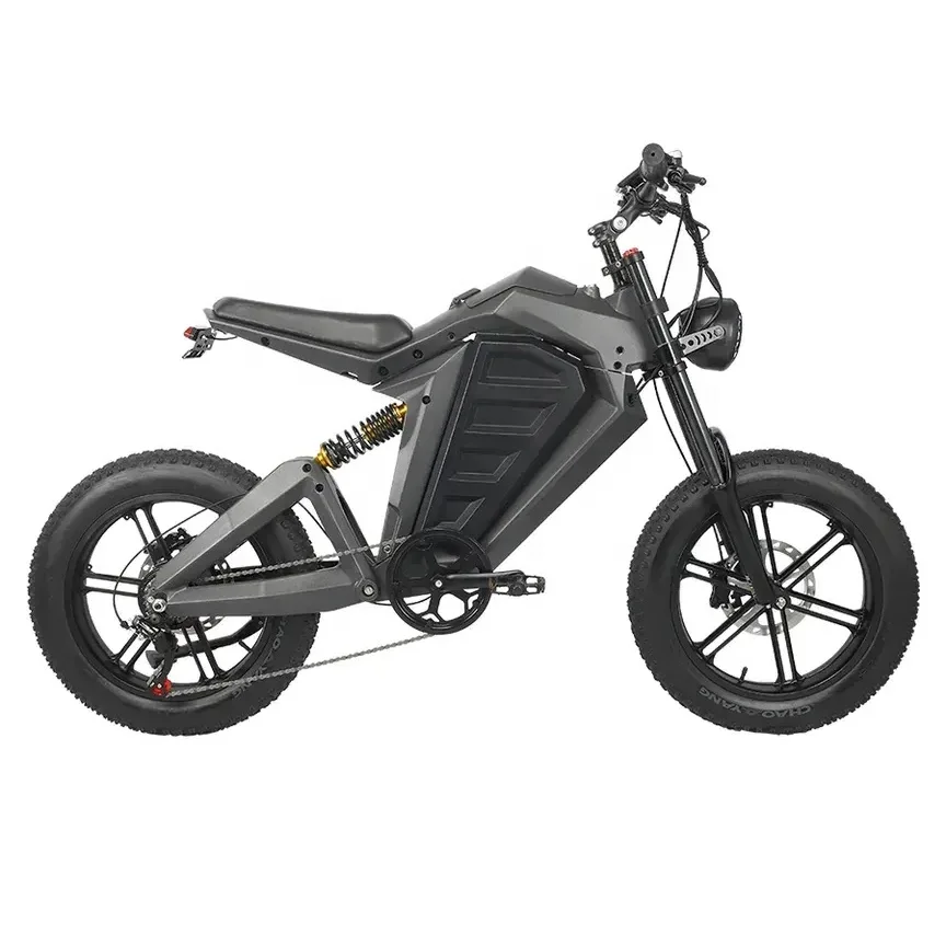 2024 New Model 48V 750W High Power Extreme Cross Electric Mountain Bike With Hydraulic Disc Brake 20 Inch Electric Fat Tire Bike