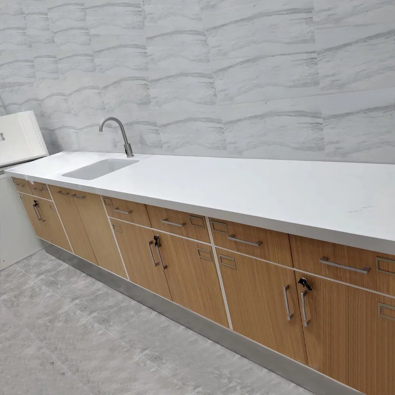 Hospital All Steel Laboratory Cabinets with Wall bench wall hanging cabinet lab workbench