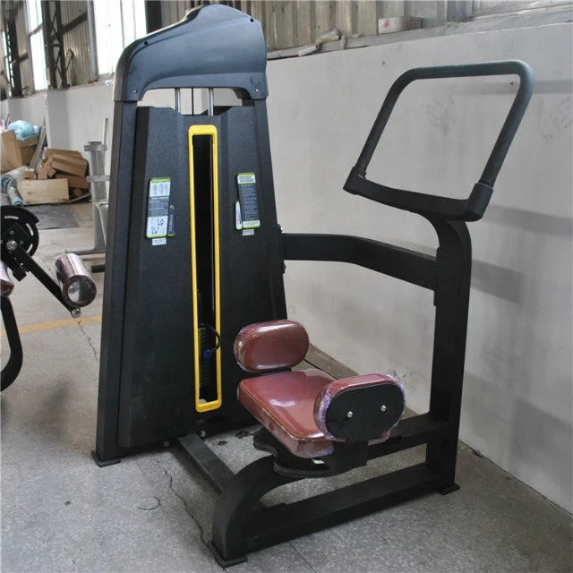 Hot Selling High Quality Factory Price Pro Musculation  Body Builder Seated Gym Equipment Rotary Torso Machine
