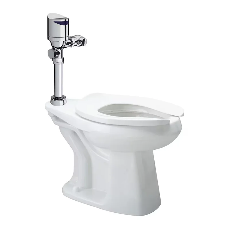 Exposed Button Type Waterflow Control Bath Toilet Urinal Flush Valve