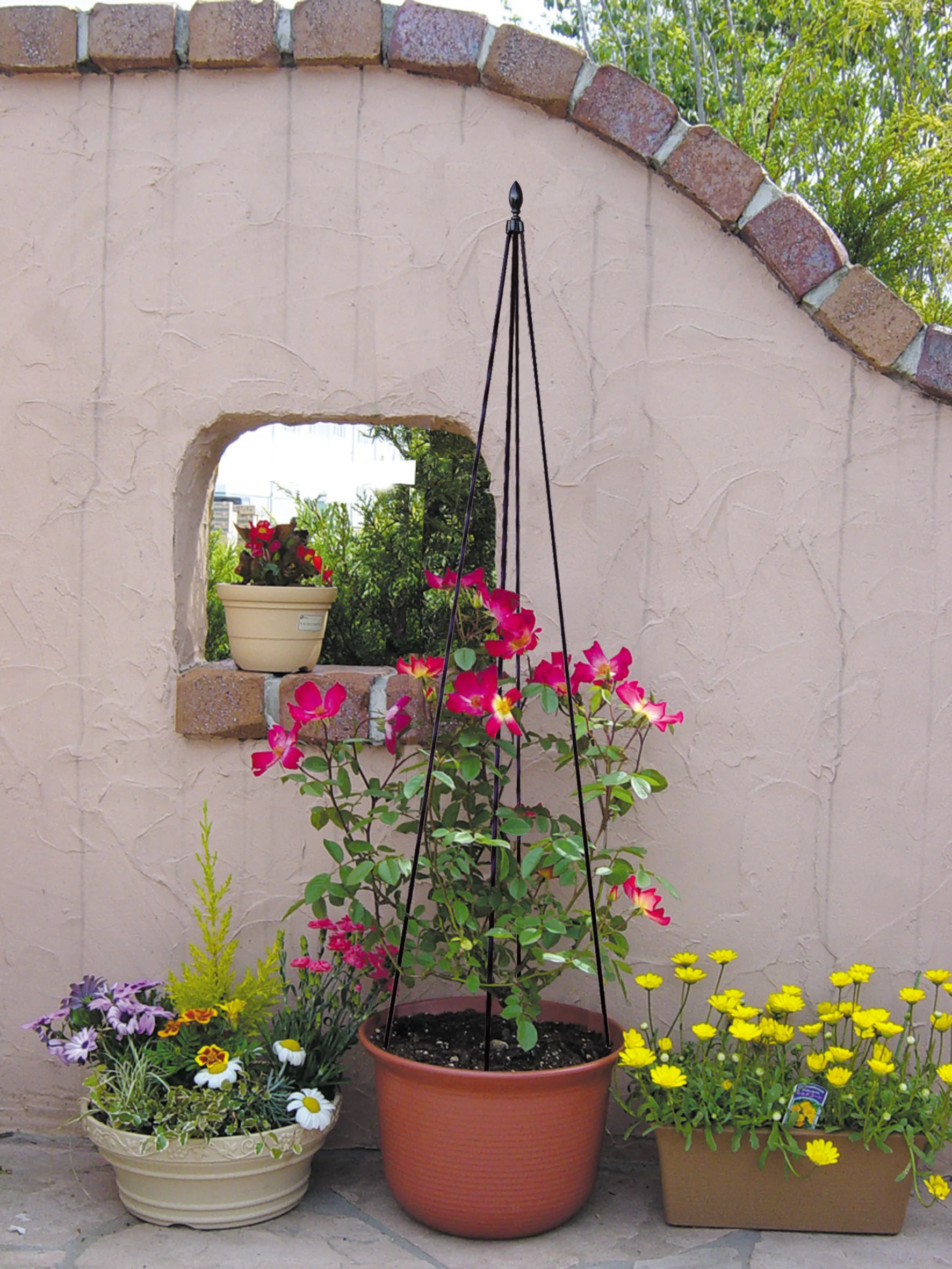 Rose Flower Growing Plant Support Rack Outdoor Pyramid Garden Obelisk