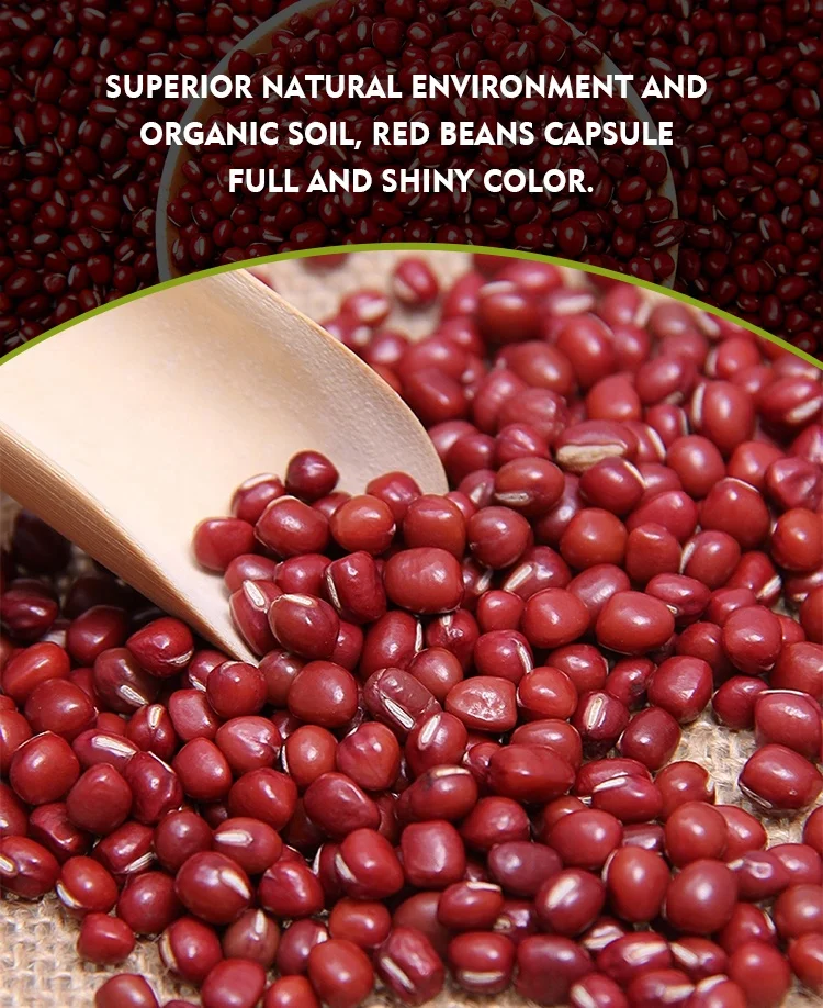 Chinese Small Red Beans adzuki beans azuki bean for sale