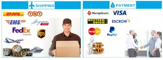 shipping & payment