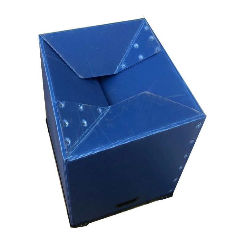 New style Plastic Broccoli Boxes Corrugated Ginger Sheet Cardboard Plastic Sheet Carton Box Stone Paper coroplast sheet box