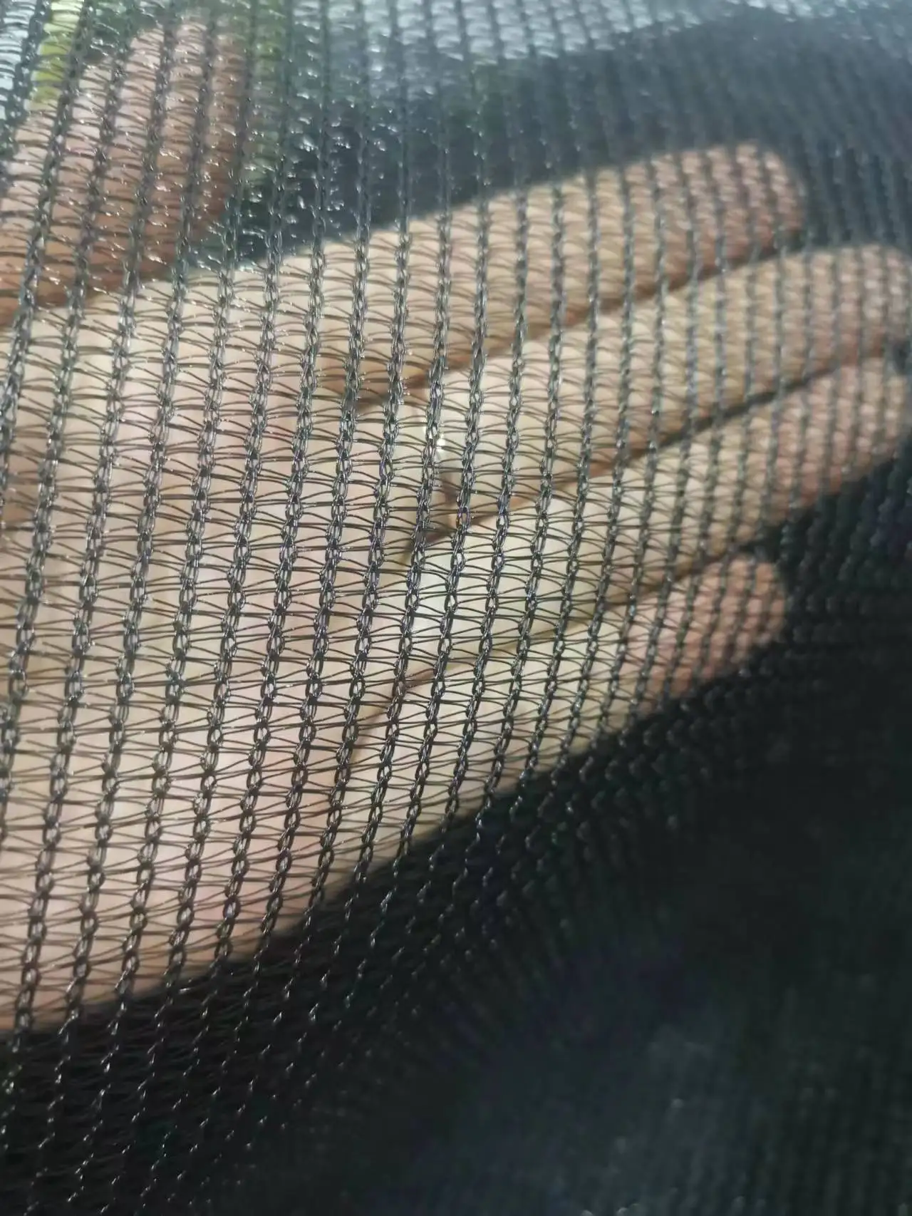 shading net.jpg