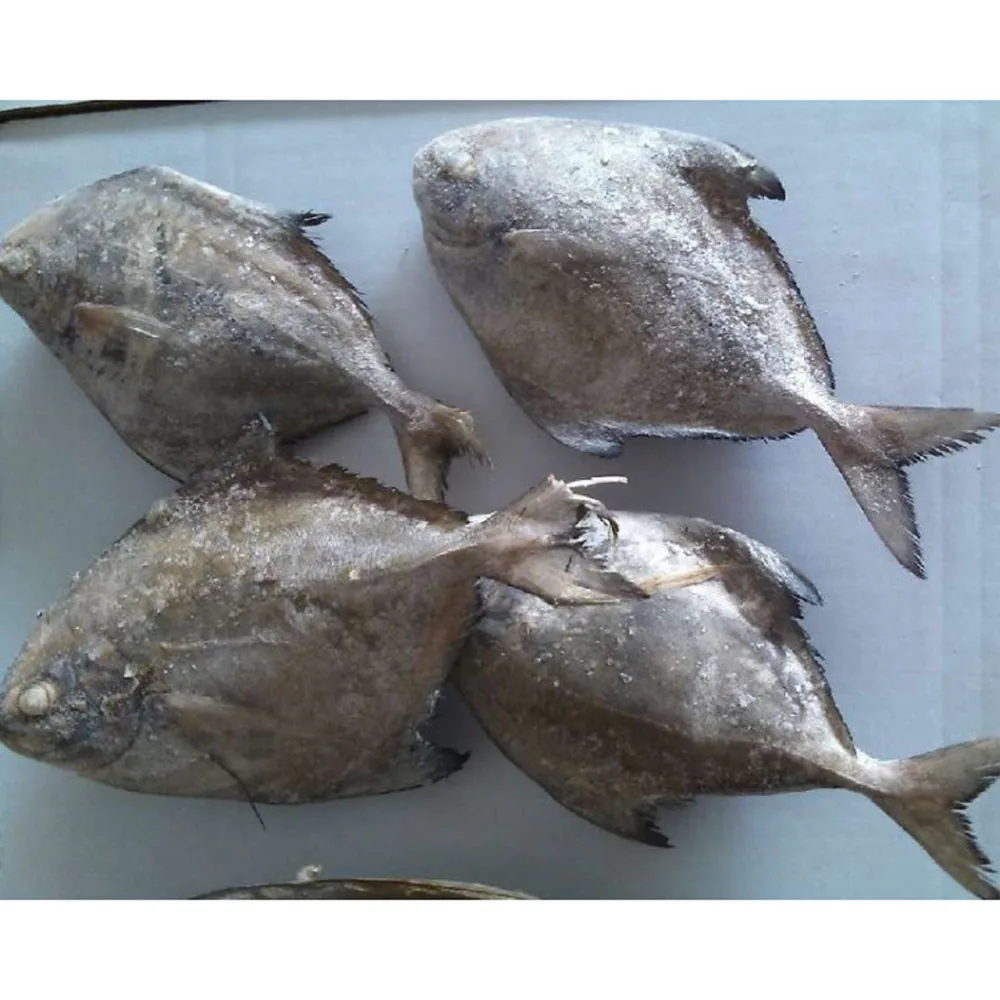 frozen pomfret fish frozen black pomfret price frozen black pompano fish