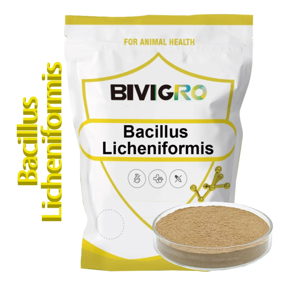 Super Quality Probiotics Feed Powder Bacillus Subtilis / Bacillus Licheniformis for Animal Feed