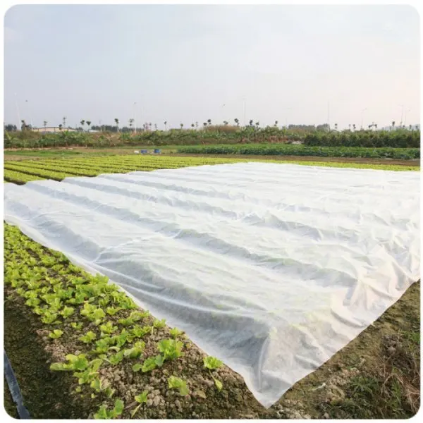 Polypropylene Nonwoven Plant Protection Blankets PP Non Woven Cover Agricultural Frost Blanket