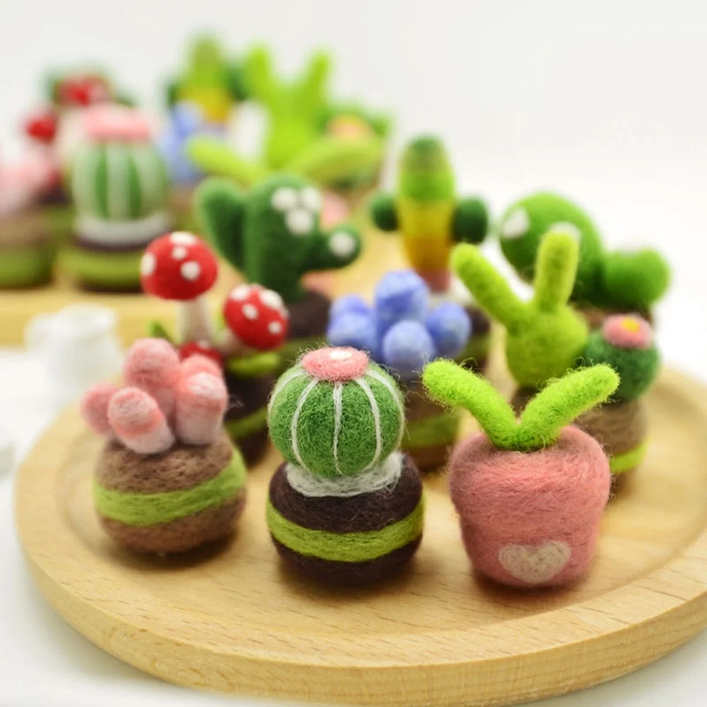 Custom Succulent Plants Needle Felting Beginner Kit DIY Felt Crafts Manufacturer Factory Private Label Logo OEM ODM Service