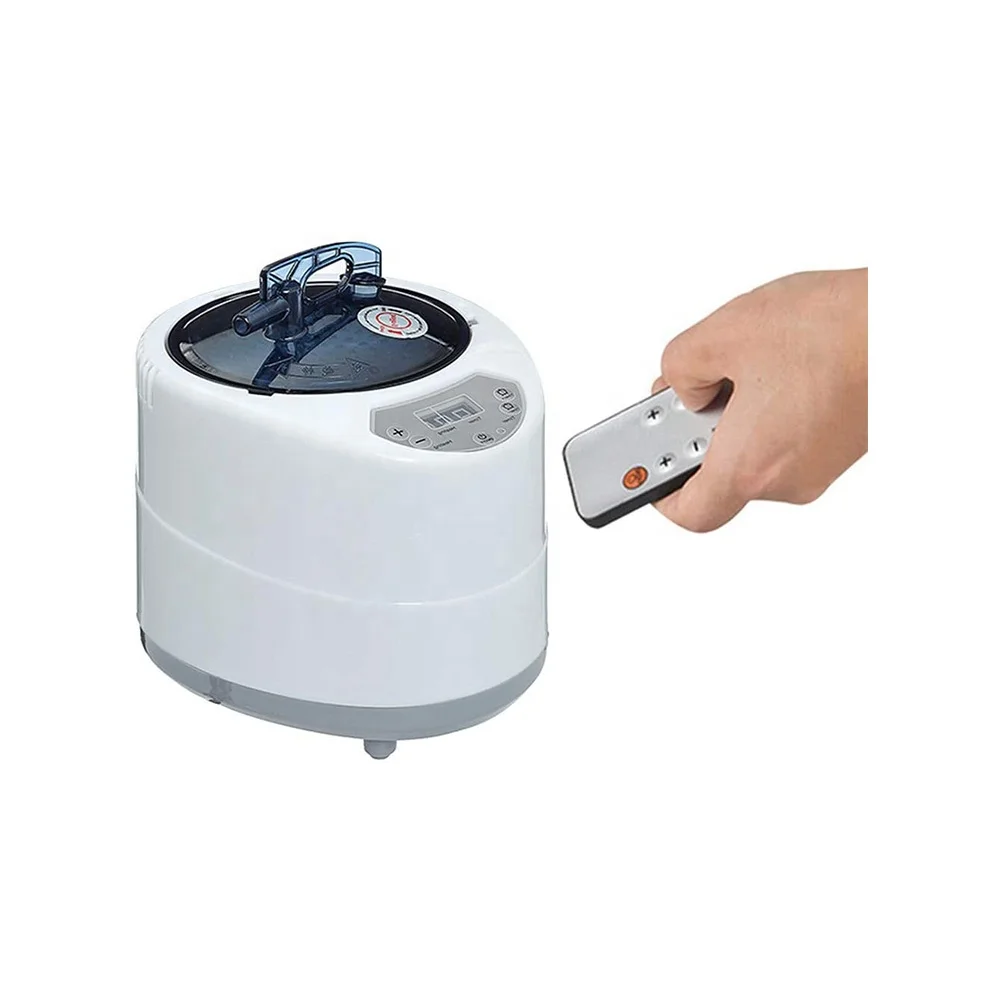 Steam Generator For Sauna Room 220V EU Plug 2000W Larger Capacity 2L Steamer Pot for Steam Sauna