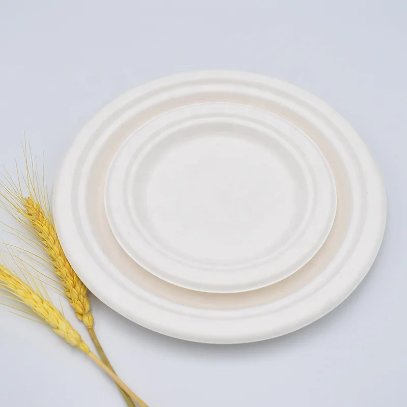 Biodegradable plates sell off disposable bagasse food containers100% compostable sugarcane bagasse food dishes for dinner