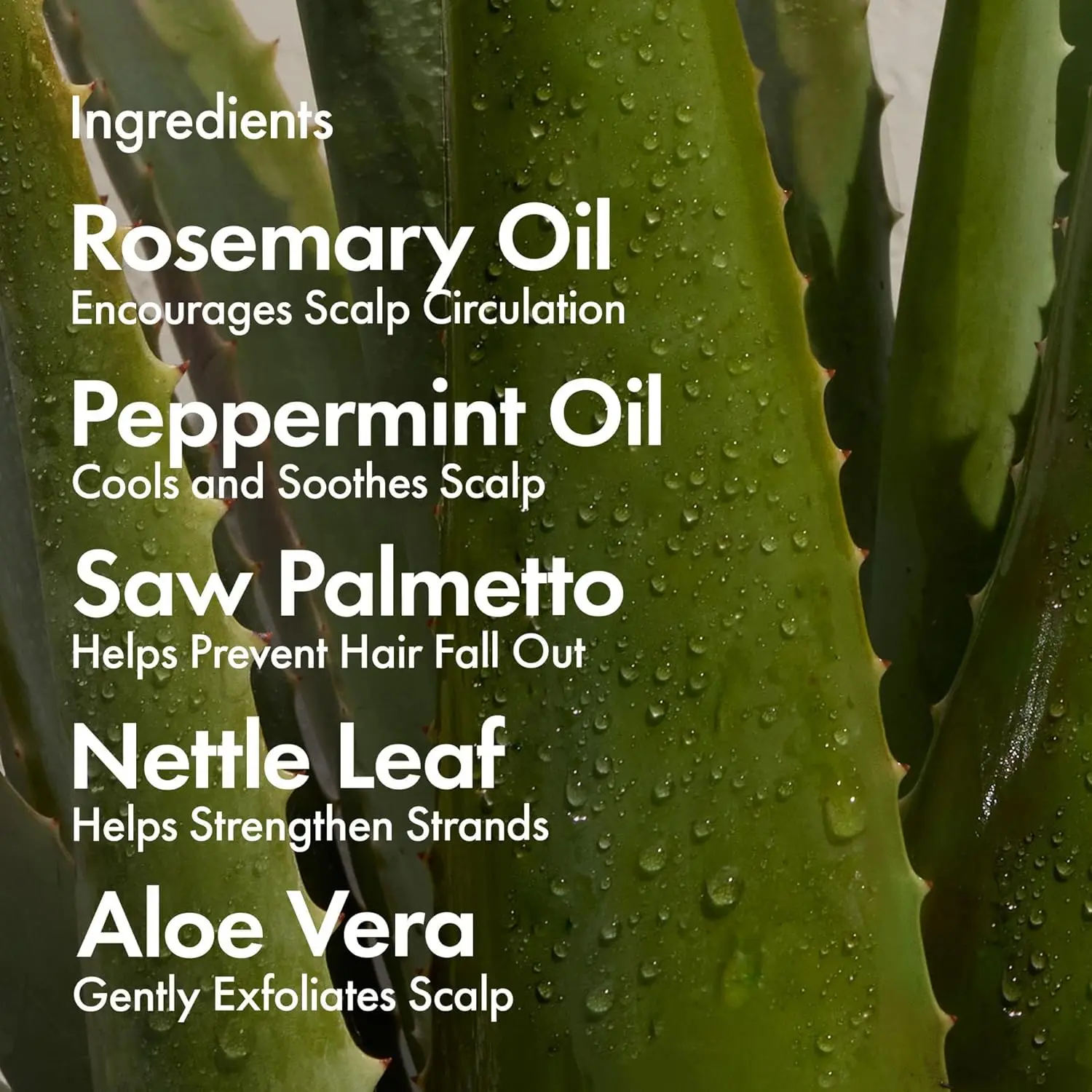 Private Label Deep Conditioner Hair Mask Restore Dry Damaged Hair Reduce Breakage Masque Strand Strengthening Repair Hair Mask