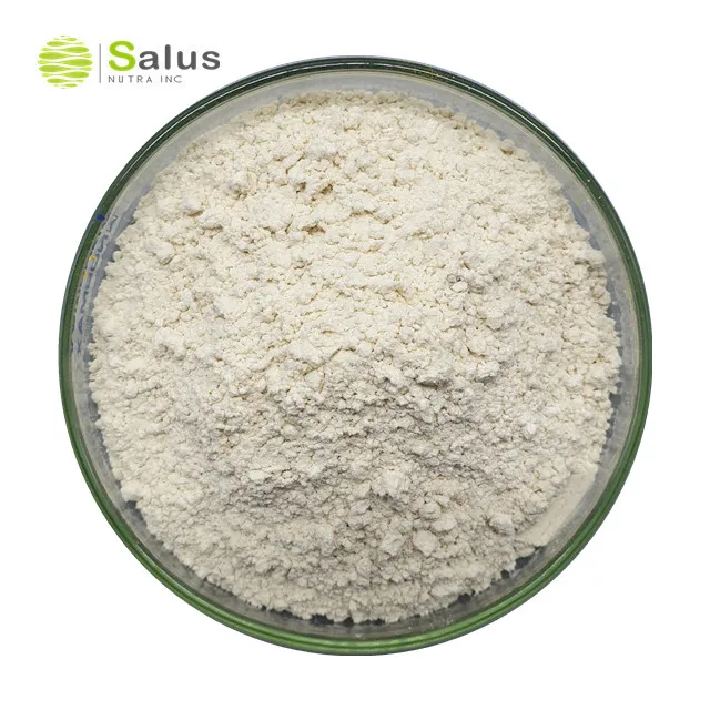 Best Price Natural 98% Naringin