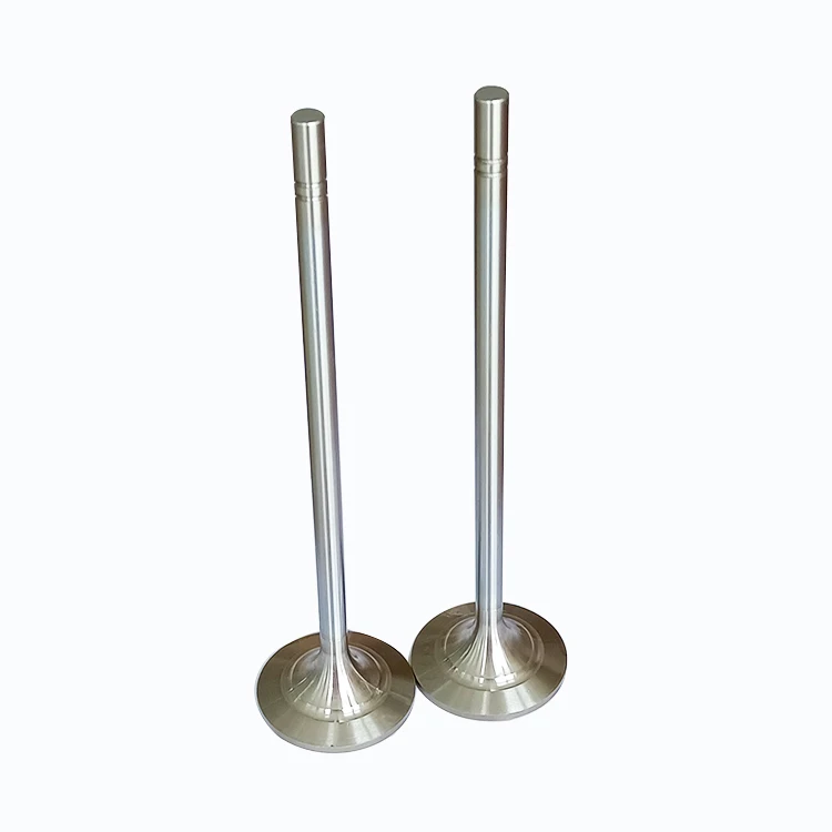 Low Fuel Consumption Industrial Diesel Engine 3512 Intake Valve 4688824 2102542