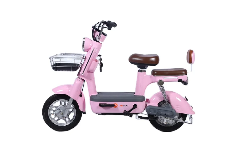 Cheap two wheel adult fat tire e bike  two wheel  two wheel adult fat tire e bike