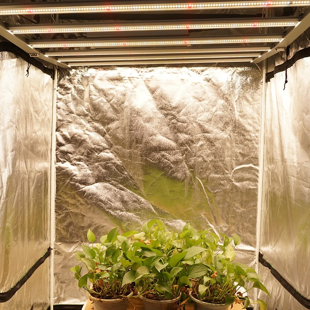 Lm301b lm301h Evo 800w Grow Light for Hydroponics Full Spectrum Spider 1000watt Led Grow Light for Large-scale planting