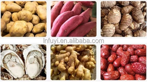 Automatic Fruit vegetable washer peanut bubble cleaning machine