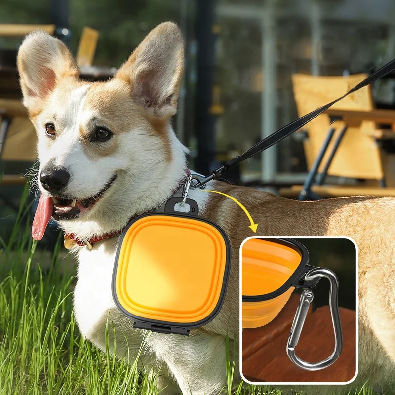 Manufacturer Portable Food Grade Silicone Collapsible 2 in 1 Double Pet Cat Dog Food Water Feeding Travel Bowls