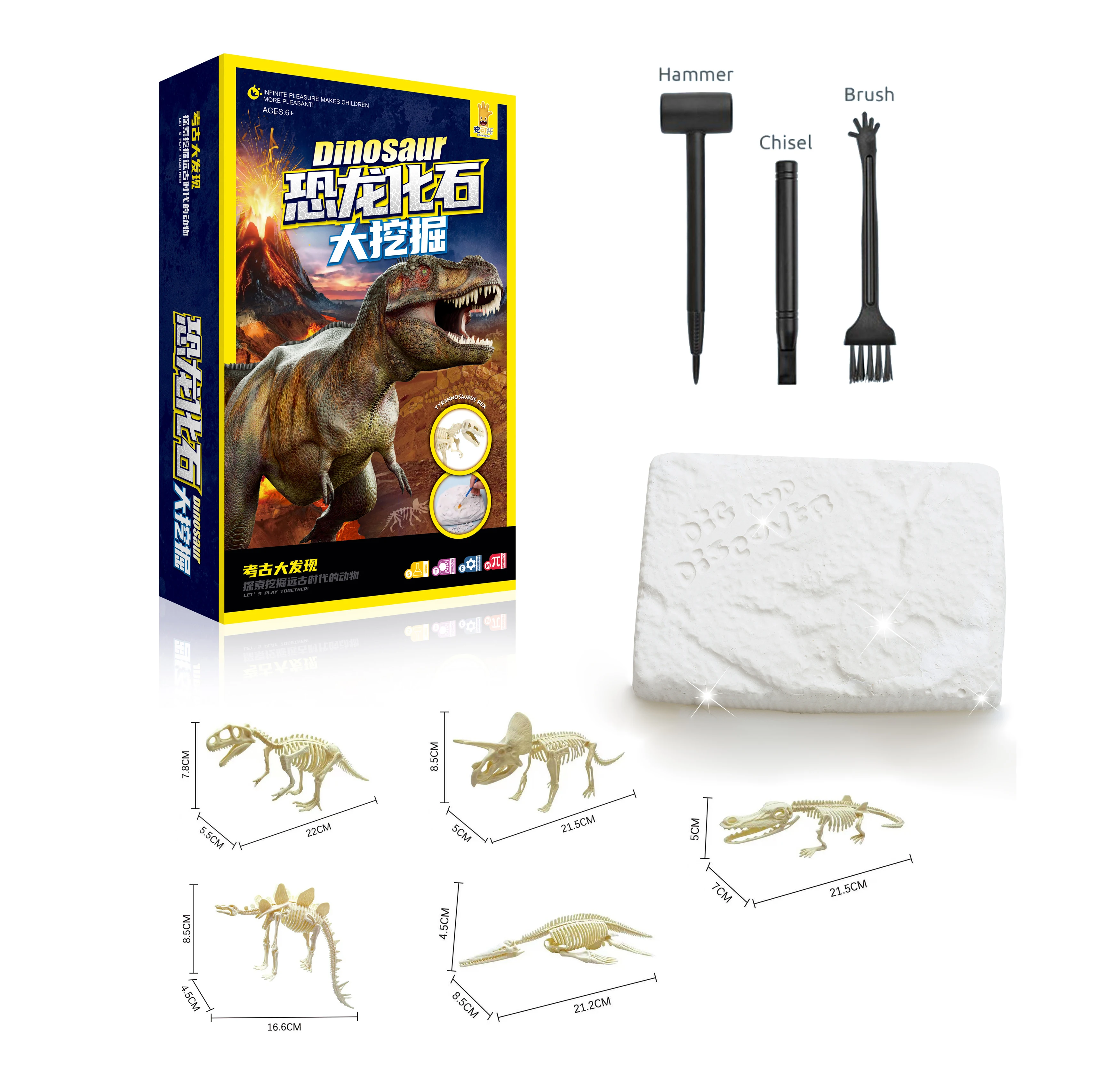Fossil Dinosaur Animal Educational Toy Dinosaur Model Tyrannosaurus Rex Assembled
