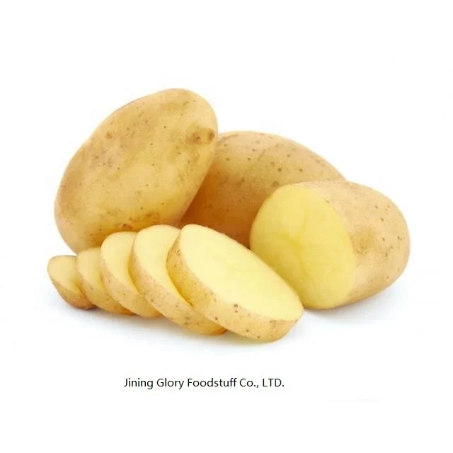 
fresh potato importers in dubai 