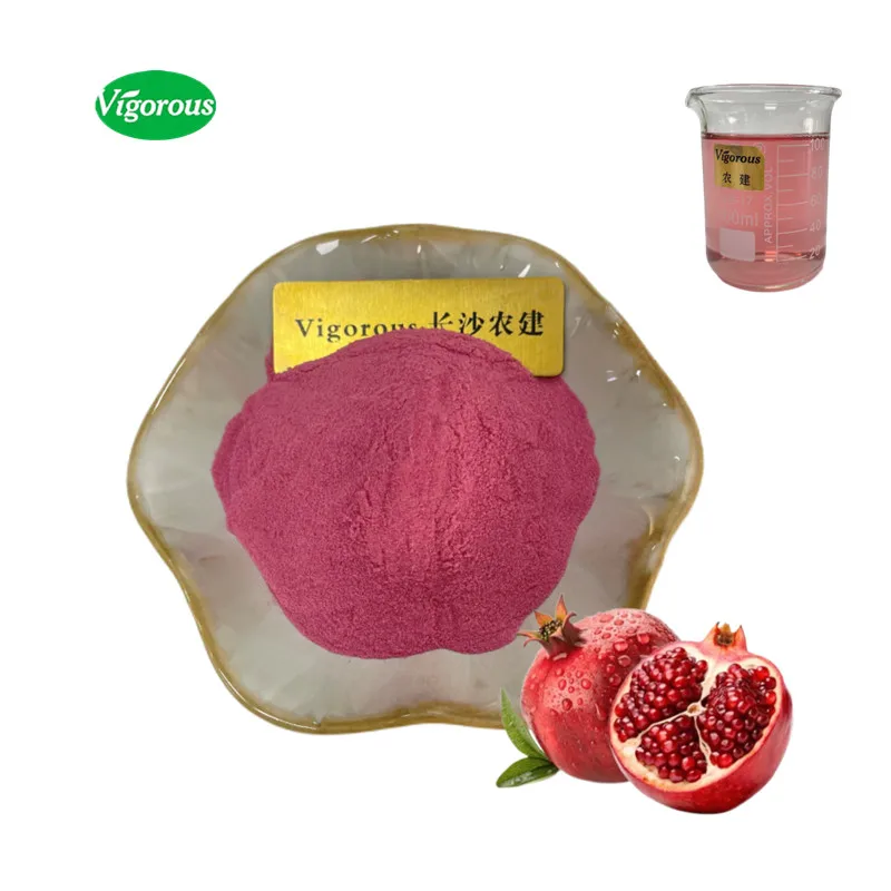 Natural High Quality Pomegranate powder Free sample Fruit Powder Pomegranate Fruit Powder Punica granatum