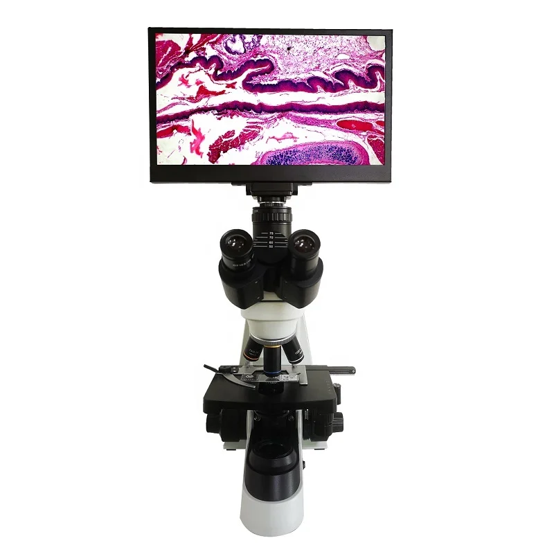 Boshida BD-SW1001 1000X  trinocular compound biological microscope with 13 inch LCD screen and built-in camera can save video