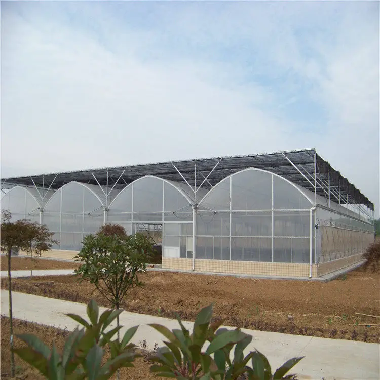 agriculture plastic film steel frame tube greenhouses for sale made in China