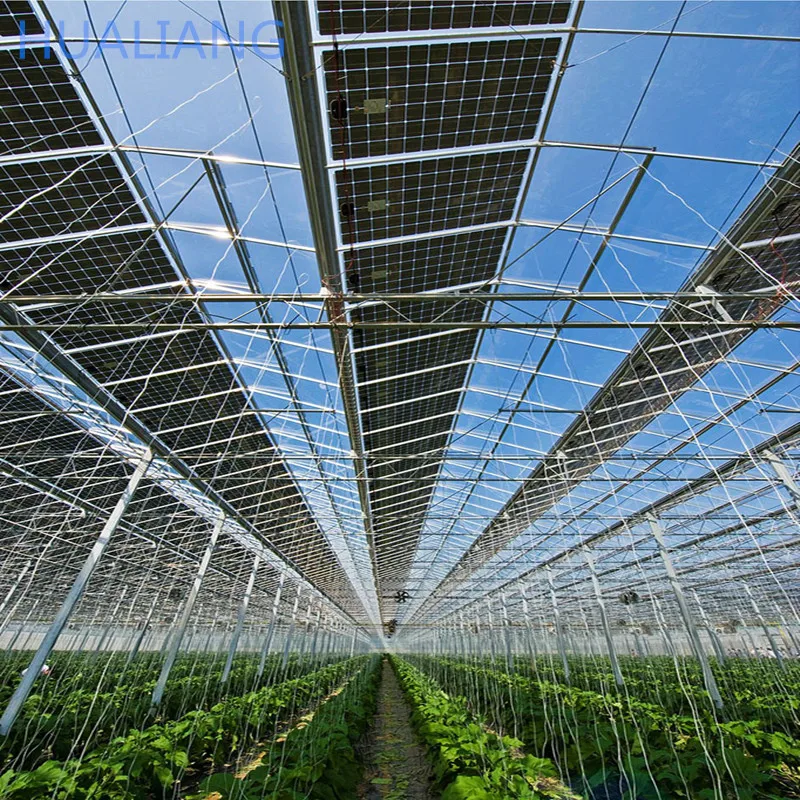 Agricultural Polycarbonate Solar Panel/Sheet Greenhouse Turnkey Project Complete Cooling/Heating System