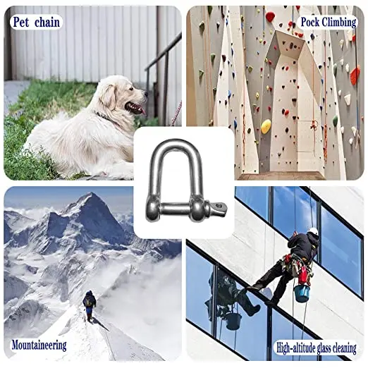 D shackle Stainless Steel Shackle Marine Rigging Lifting Boat D shackle