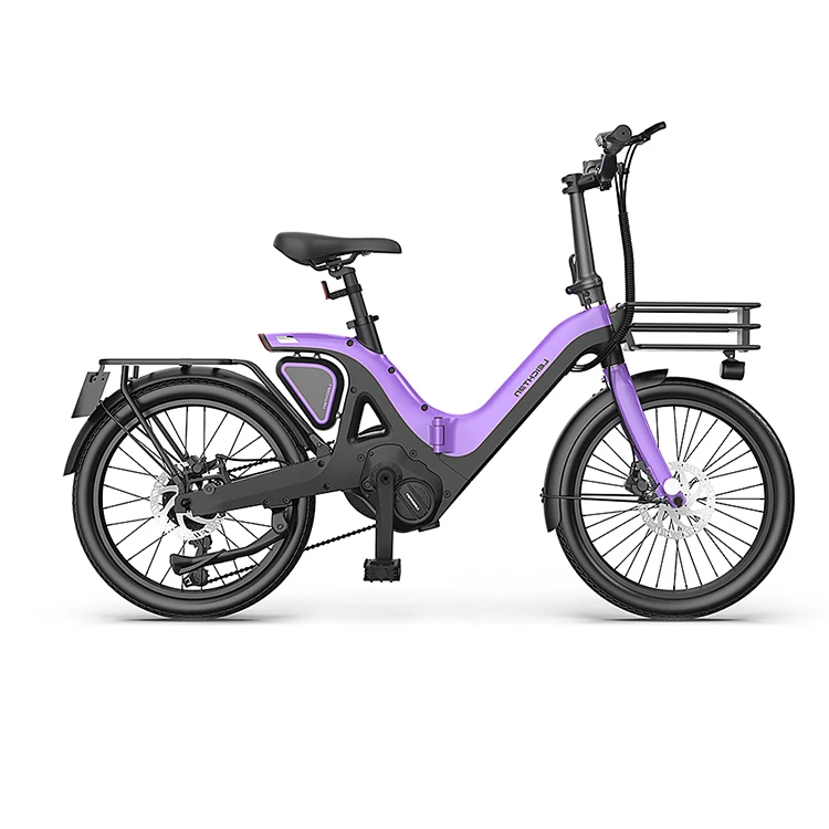 electric biycecle Chinese factory wholesales 250w/36v/9.6ah removable Lithium Battery folding 20 electric bike