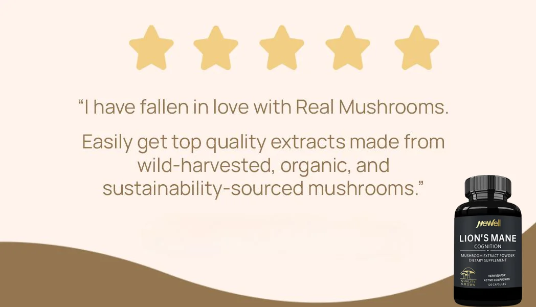 Lion s Mane Capsules - Organic Lions Mane Mushroom Extract for Cognitive Function  Immune Support
