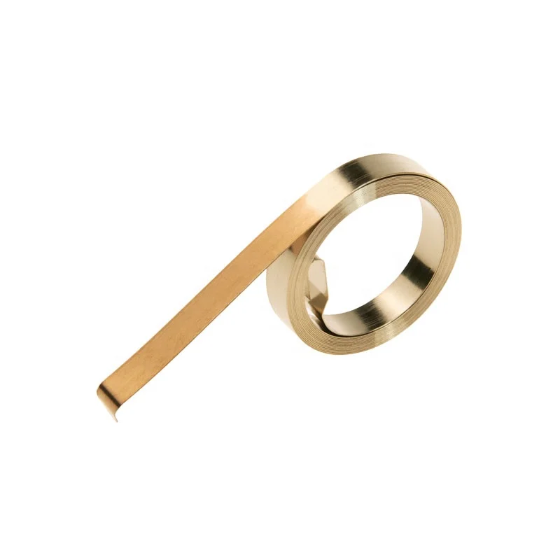 Manufacturer Starter Extension Large Spiral Stainless Steel Dog Leash Curtain cable Clock Power Spring Flat Spiral Spring