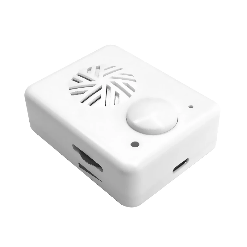 Персонализированный USB-память и Мини-Цифровой диктофон для детей игрушки оптовая продажа загружаемый
