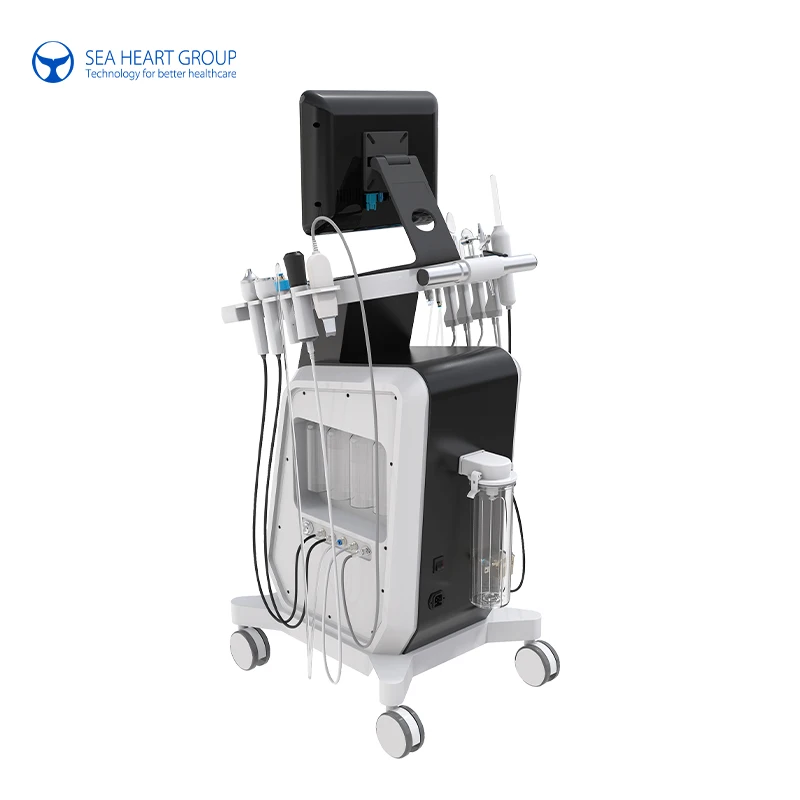 2023 Hot Sale 14 In 1 Facial Machine Microcurrent Facial Machine Hydra Dermabrasion Machine from sea heart