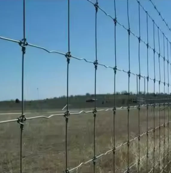 Strong Sheep and Goat Fencing galvanized  mesh  for Agricultural Use
