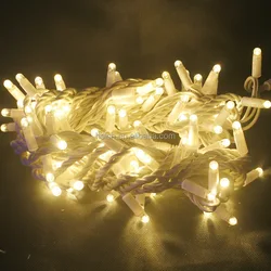 Christmas Mesh Light Outdoor Colorful Decorative Waterproof Cold Light Fiber Optic Mesh Netting Light