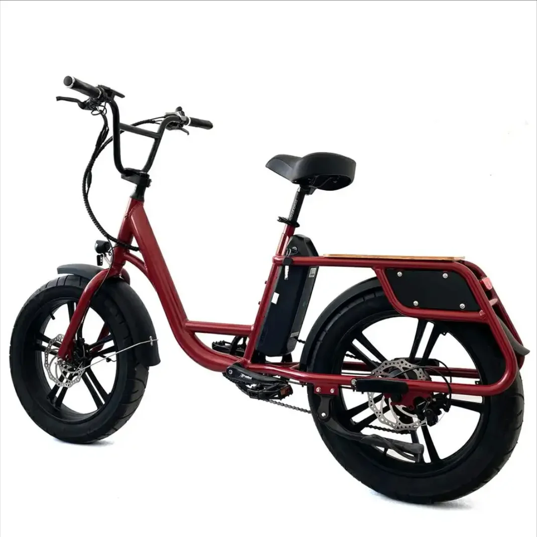 Power Cut -off Brake Electric Hybrid Cargo Bike dual battery electric bike