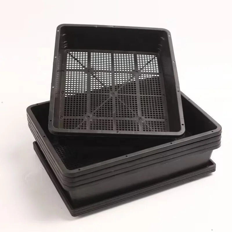Plastic Flat Nursery vegetable Seed Tray Micro green Seedling start Trays