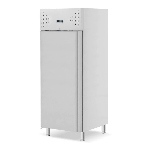 Stainless Steel Fully Foaming Upright Freezer Single Door Commercial Restaurant Kitchen Negative Refrigerator