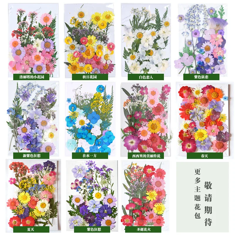 Real Dried Flowers Leaves and Butterfly Stickers Set Multiple Pressed Dry Flowers Colorful Natural Daisies Flowers