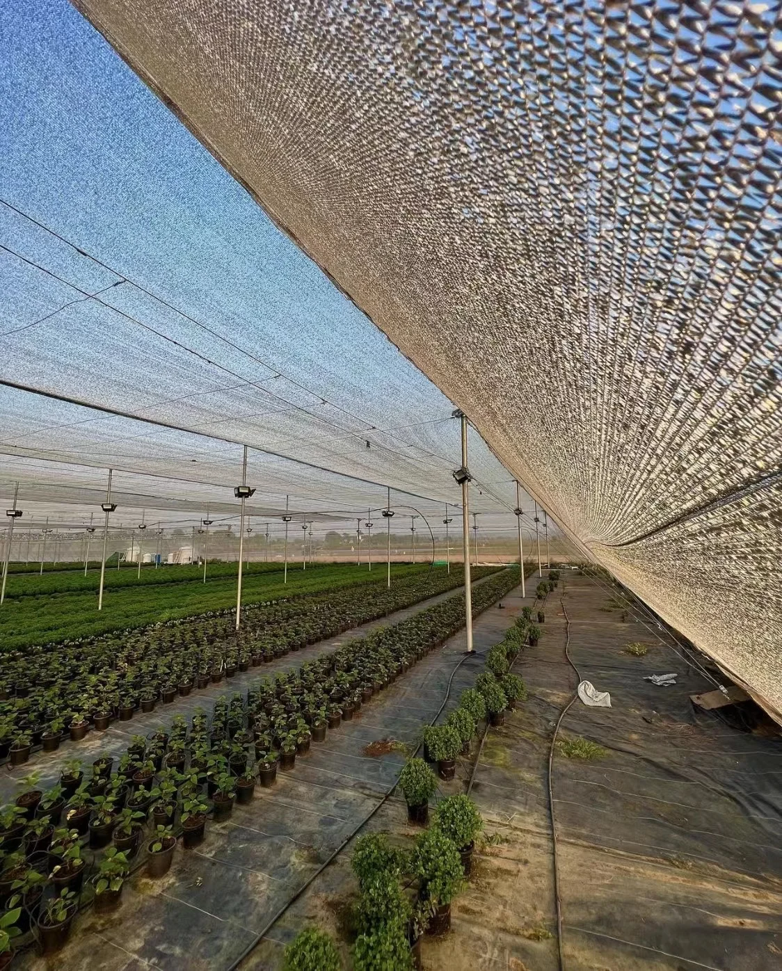 Agricultural greenhouse woven fabric Aluminum mesh shade net Aluminum sliver shade cloth sun cover Sliver Foil net